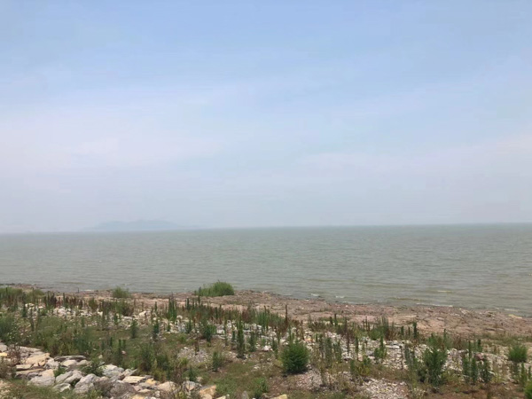 5個月拆遷補償款翻3倍，看看深圳廠房拆遷律師如何助力維權