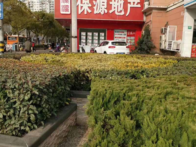 房屋糾紛排除妨害糾紛的法律分析及案例研究有哪些？深圳辯護(hù)律師來回答